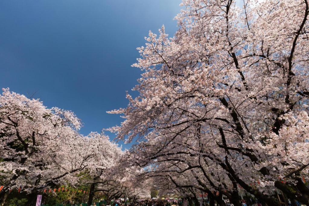 Hotel Bougainvillea Minowa Токіо Екстер'єр фото